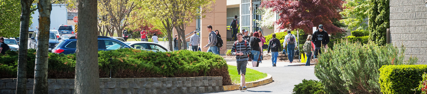 students walking on SCC campus